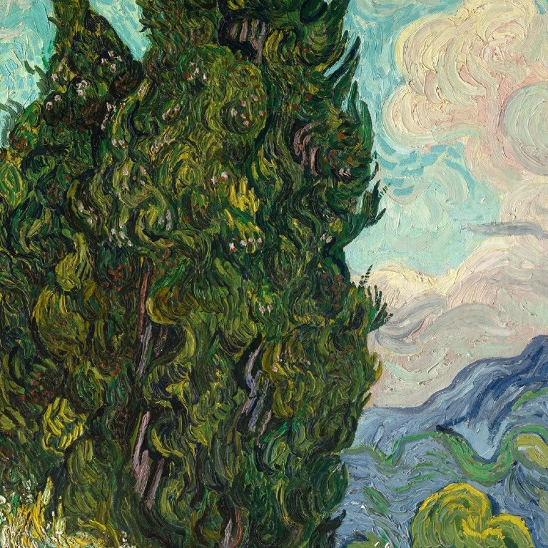 Cypresses
