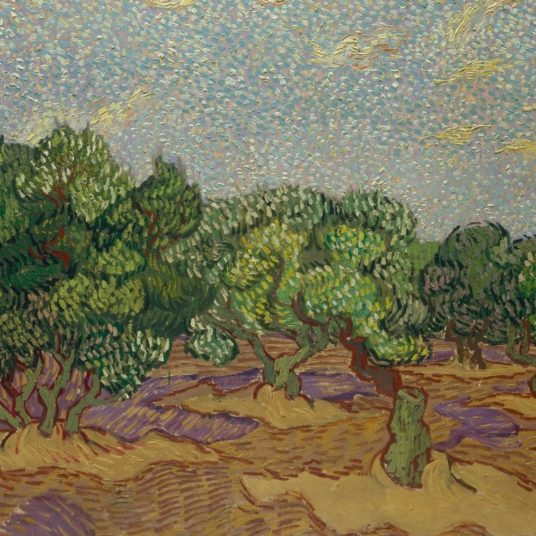 Olive Trees
