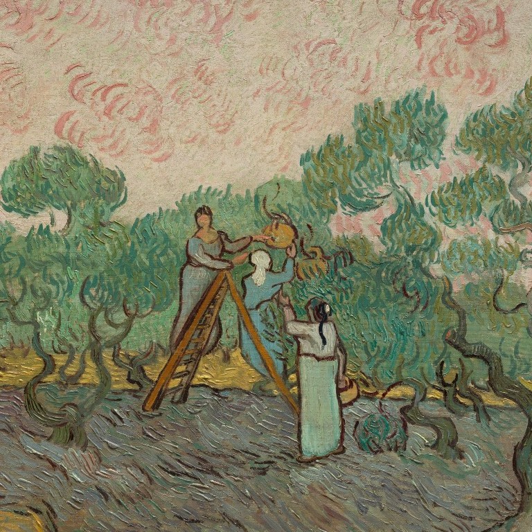 Women Picking Olives