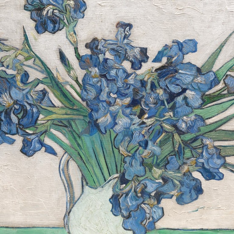 Irises